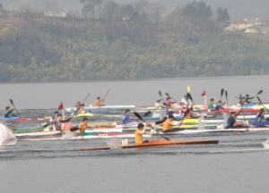 Máis de 300 padexeiros participaron nos campionatos