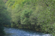 Vista do Eume / Imaxe: Galipedia