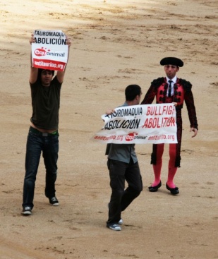 Imaxes da campaña 'Asalto al ruedo', cando os voluntarios de Equanimal baixaron á praza das Ventas